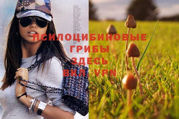 мескалин Богородск