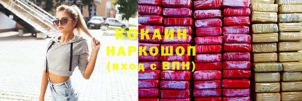 прущий лед Богданович